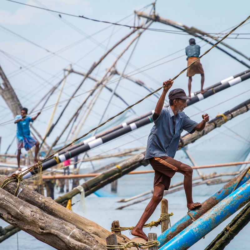 Fishermen operate a Chinese fishing net in Kochi, Kerala.
