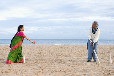 Cricket on the Beach