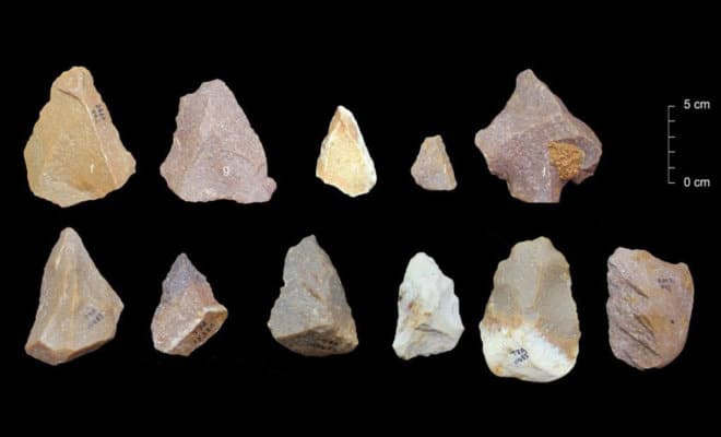 Artifacts uncovered in the excavation at Attirampakkam.