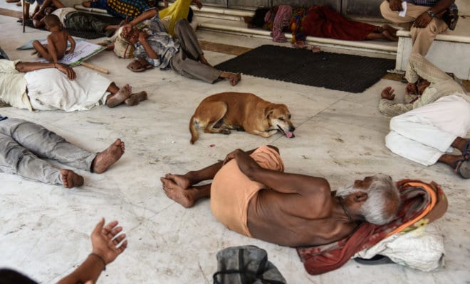 People and a dog rest in the afternoon shade in New Delhi, June 21, 2018.