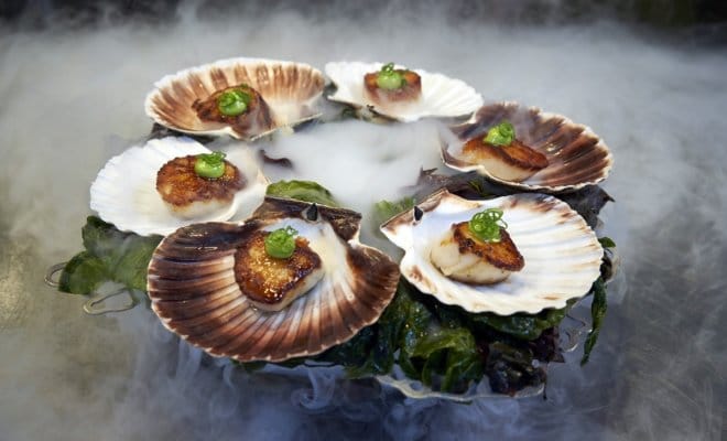 Bay of Biscay, a dish of six scallops with paprika and cumin, served on a bed of seaweed and sea lettuce, at Eneko, in London.