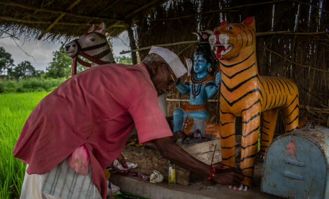Mahadeo Baburao Irpate, a farmer, built a shrine to a tiger that died when it touched an electric fence he had put around his rice fields, in Kothulna, India, Sept. 4, 2018.
