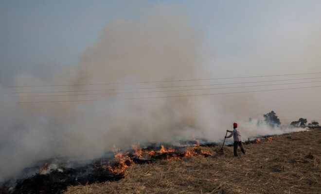A farm laborer clears stubble from fields by burning it near in the village of Bishanpur Channa, India, Oct. 29, 2018.